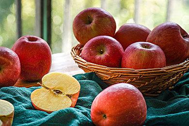 模拟游戏《Kitori Academy》今日开启众筹 预计2023年5月发售